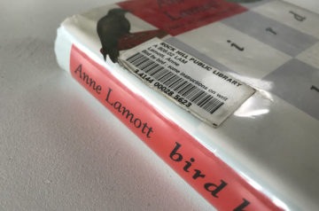 Rereading Bird By Bird by Anne Lamott.